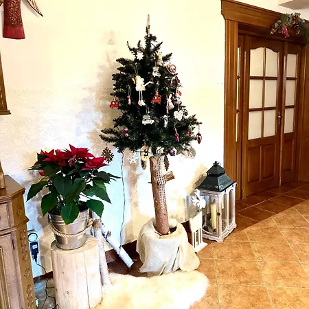 Homestay szállás Gronicka *